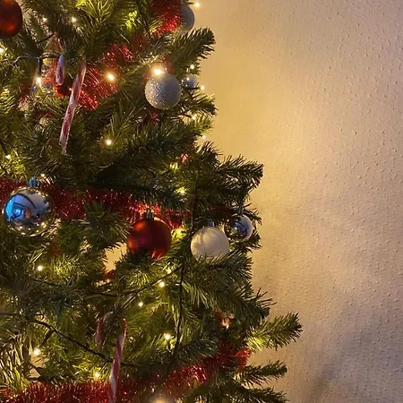 Haus Bornstein * Olsberg