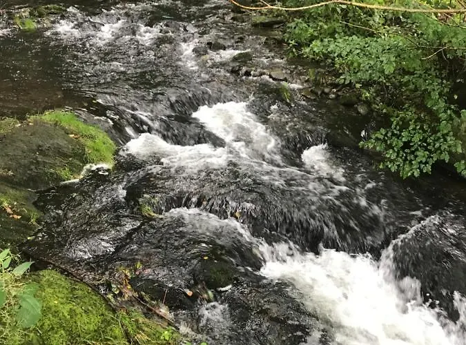 Haus Bornstein * Olsberg