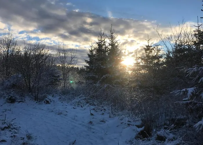 Feriehus Haus Bornstein