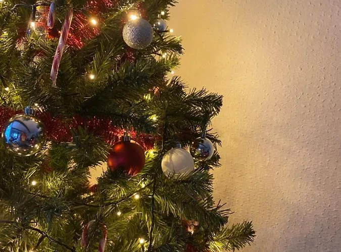 Haus Bornstein * Olsberg